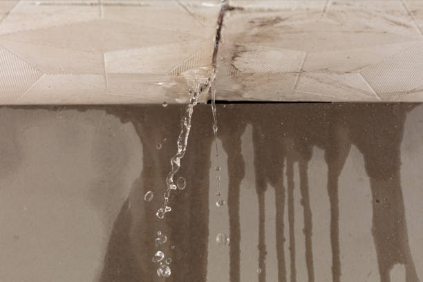 Professional Water Damage Inspection technician working in Mansfield, MO